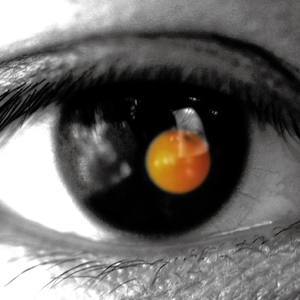 特级裸体毛毛片
