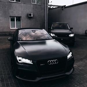 特级裸体毛毛片
