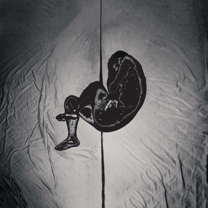 特级裸体毛毛片
