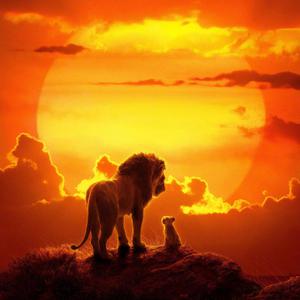 特级裸体毛毛片
