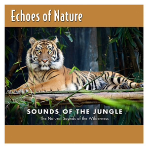 特级裸体毛毛片
